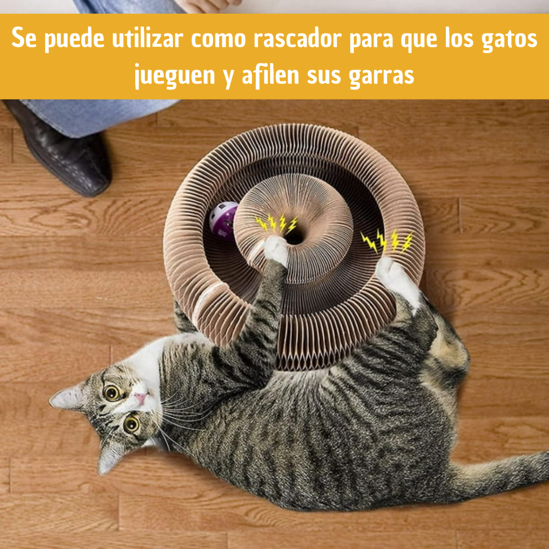 Rascacordeón para gatos™