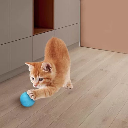 Juguete Pet Gravity Ball™