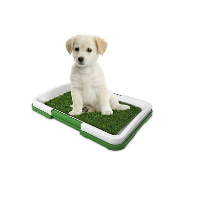 Tapete Baño Lavable Sintético Entrenador para perro™